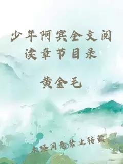 少年阿賓全文閱讀章節(jié)目錄
