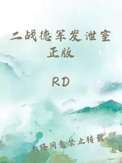 二戰(zhàn)德軍發(fā)泄室正版