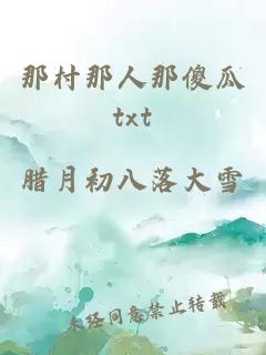 那村那人那傻瓜txt