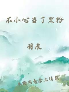 不小心當了黑粉