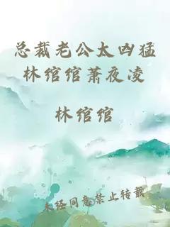總裁老公太兇猛林綰綰蕭夜凌