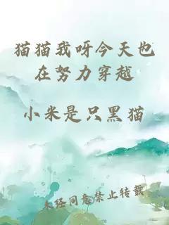 貓貓我呀今天也在努力穿越