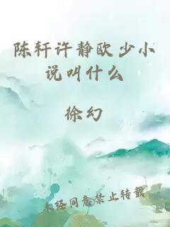 陳軒許靜歐少小說叫什么