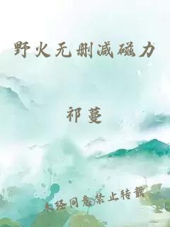 野火無(wú)刪減磁力