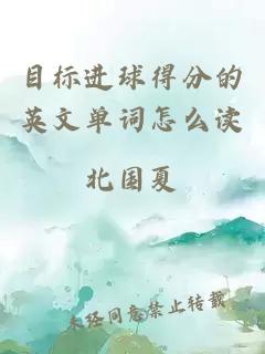 目標(biāo)進(jìn)球得分的英文單詞怎么讀