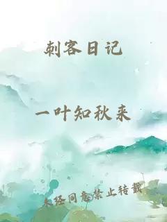 刺客日記