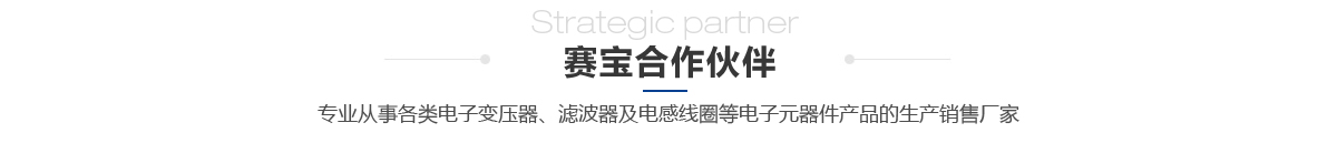 我在修真界養(yǎng)劍修