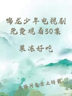 鳴龍少年電視劇免費觀看30集